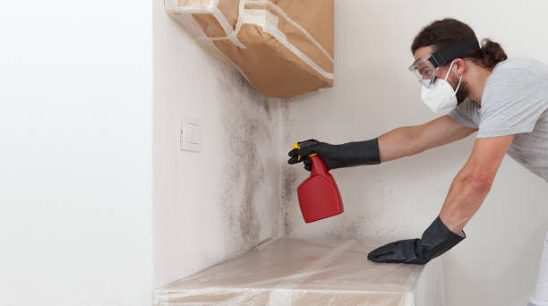 Professional Bathroom Mold Removal technician working in Marriottsville, MD