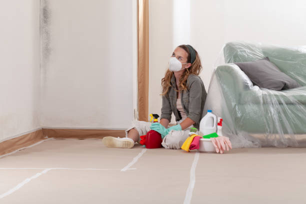 Reliable Bathroom Mold Removal contractor in Marriottsville, MD by Mold Remediation HQ